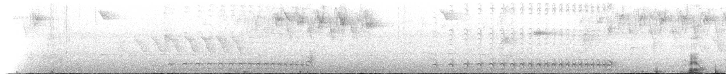 Chestnut-backed Antshrike - ML650761913