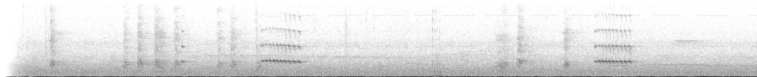 White-bellied Pygmy-Tyrant - ML650762001