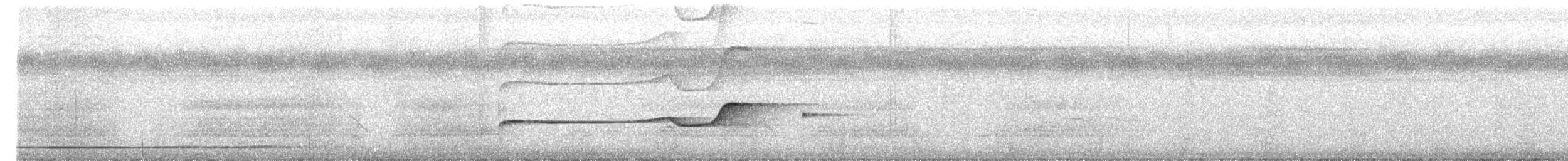 Olivaceous Schiffornis - ML650762118