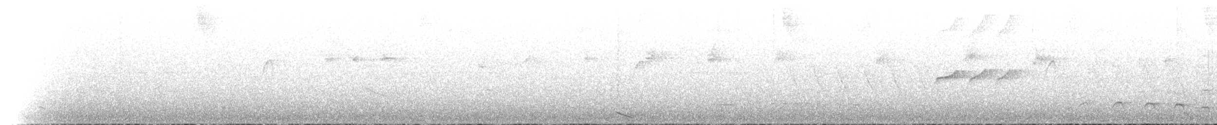 White-lored Tyrannulet - ML650762278