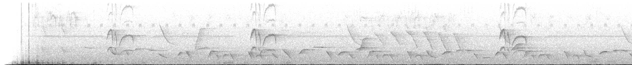 Coraya Wren - ML650762331