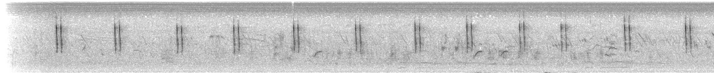 Cistícola Buitrón - ML650762964