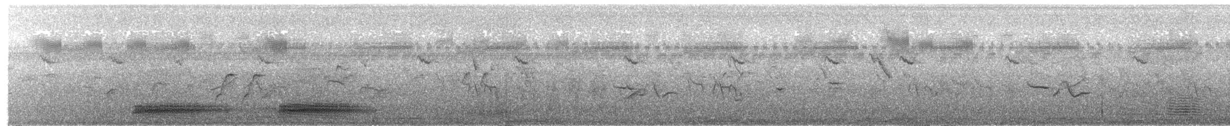 Cuervo Picudo - ML650762972