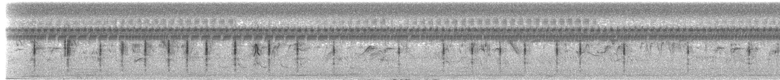 Buscarla Lanceolada - ML650762978