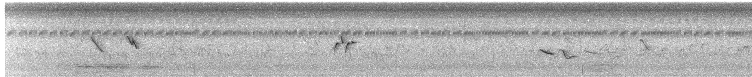 Bengalí Rojo (Ventrirrojo) - ML650762983