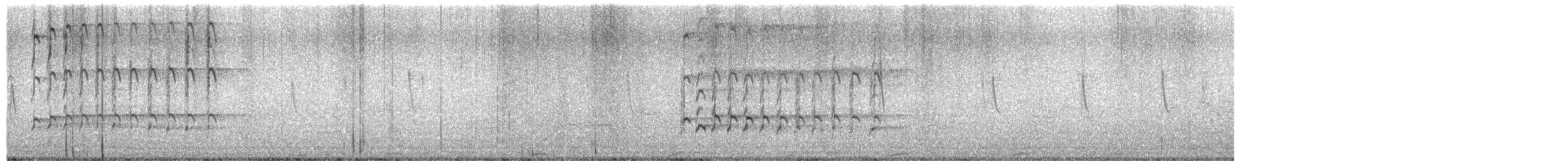 Zarapito Trinador Americano - ML650763247