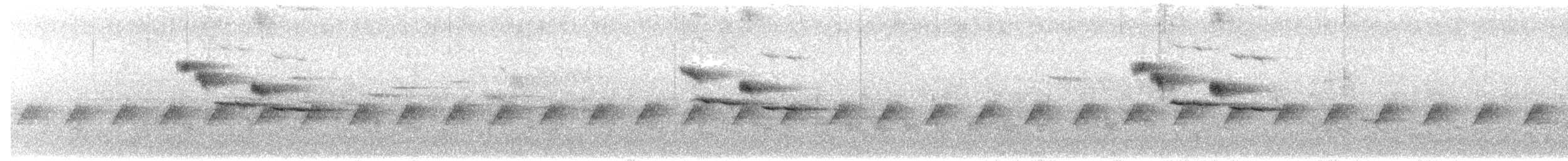 Papamoscas Pechiclaro - ML650763390