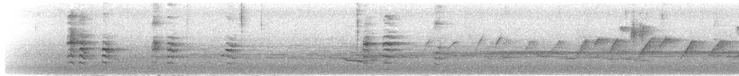 Barbudo Gorjiazul Común - ML650763419