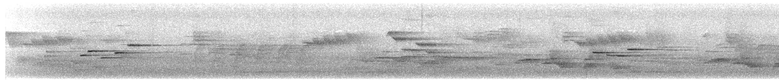 Mosquitero Cejiblanco - ML650763558