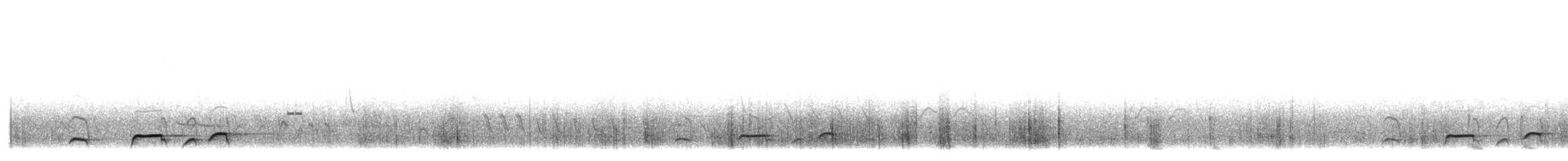 Boyaca Antpitta - ML650764023