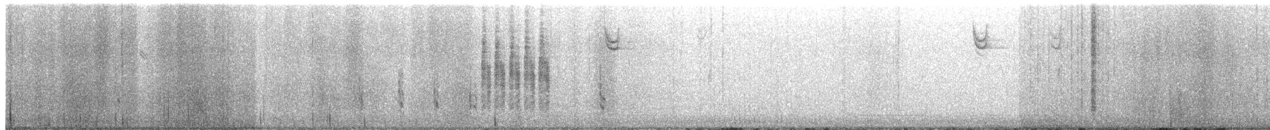 Marsh Wren - ML650767004