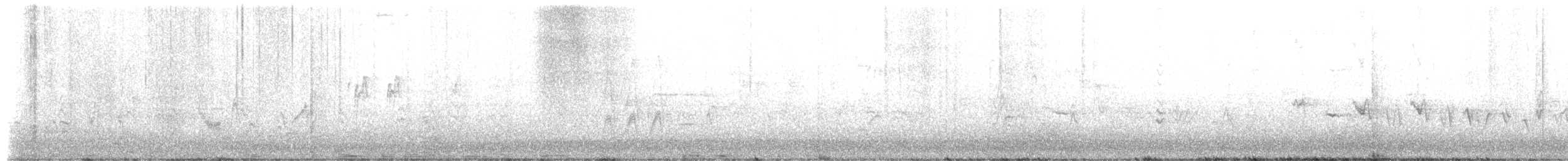 House Finch - ML650777275