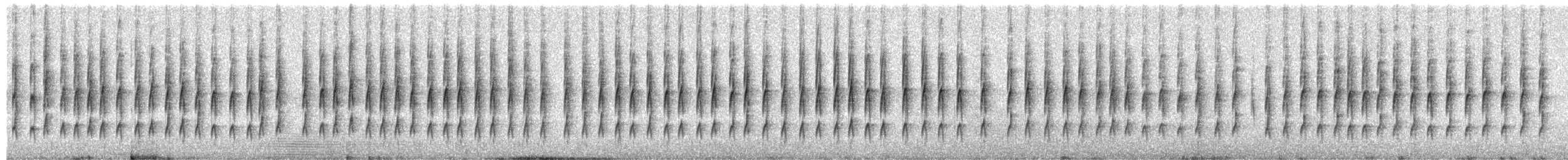 Островная райадито - ML650778291