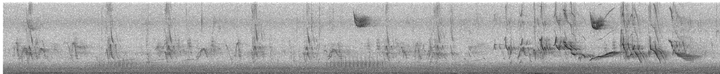 House Finch - ML650778931