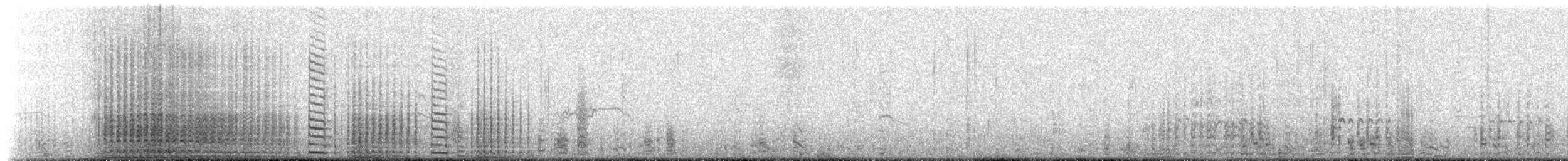 Gentoo Penguin - ML650779517