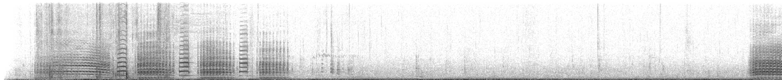 Gentoo Penguin - ML650779518