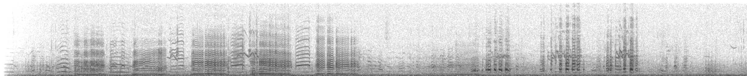 Gentoo Penguin - ML650779774