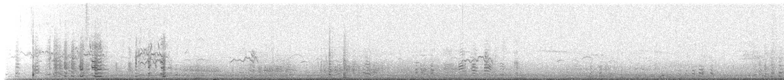 Gentoo Penguin - ML650779865