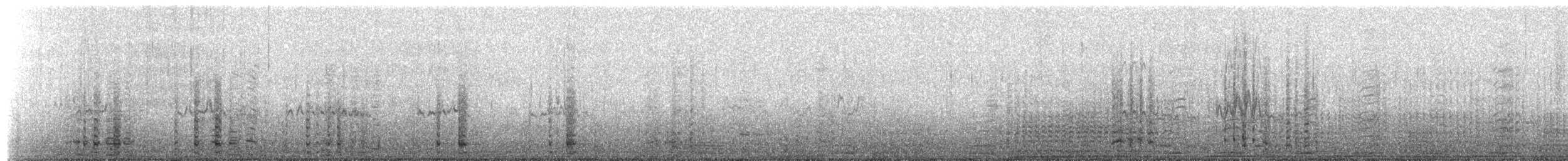 Gentoo Penguin - ML650779953