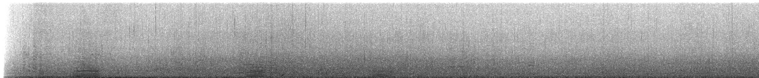 Imperial Cormorant (Antarctic) - ML650780232