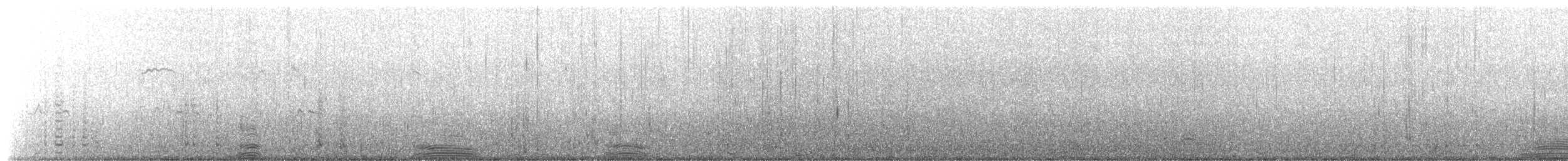 Imperial Cormorant (Antarctic) - ML650780233