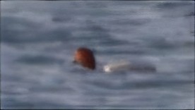 צולל אמריקני - ML650783194