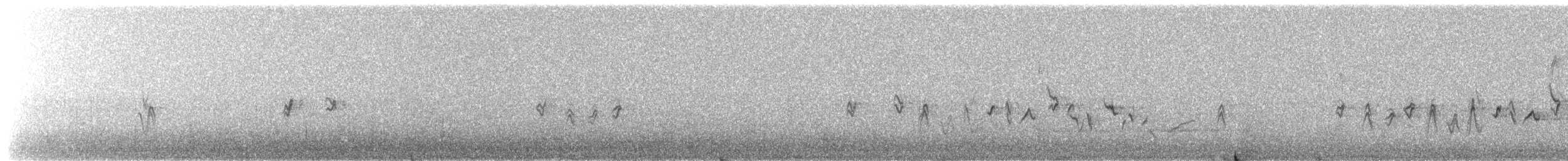 House Finch - ML650784922