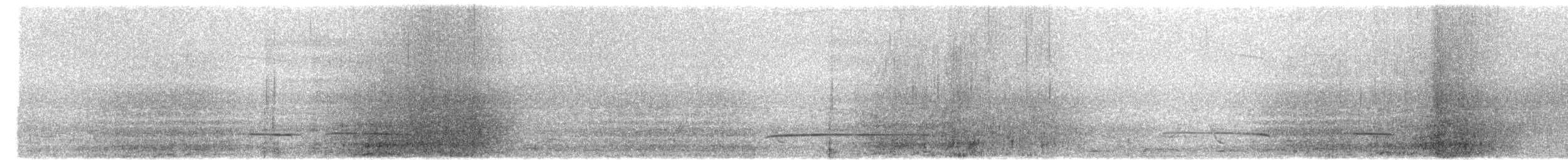 Petroica de Manglar - ML650785879