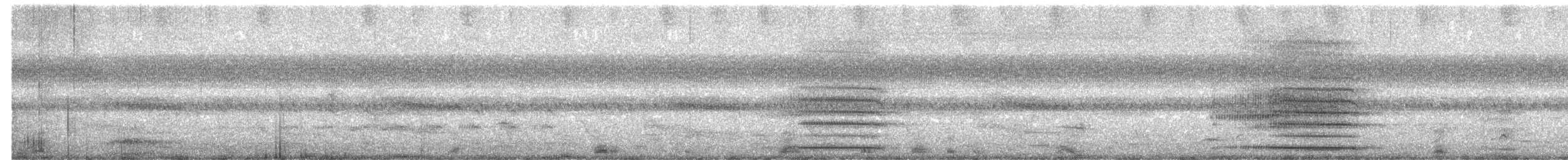 Glossy Black-Cockatoo - ML650789768