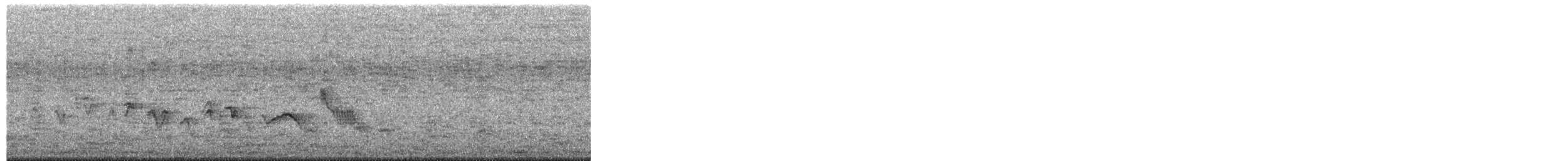 House Finch - ML650790029