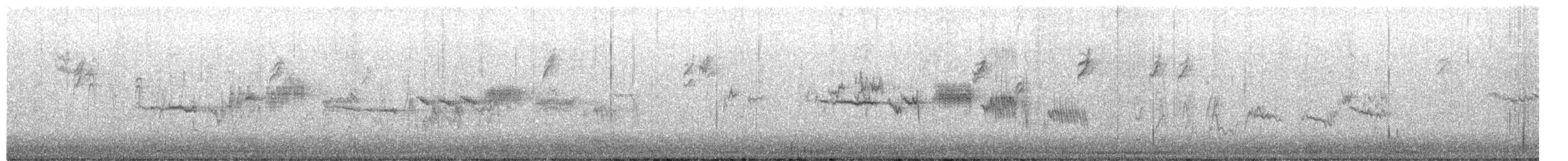 White-crowned Sparrow - ML650790415