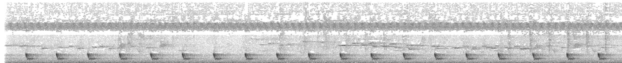 Chotacabras Macruro - ML650790543