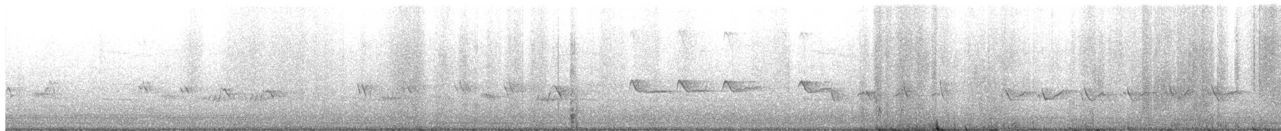 Northern Mockingbird - ML650791300