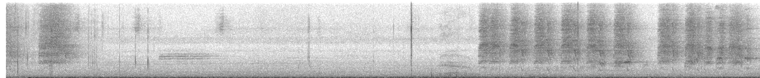 Spotted Owlet - ML650794171