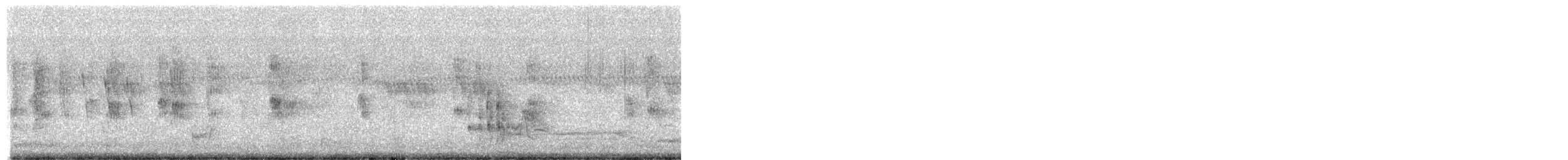 Black-and-white Mannikin - ML650795565