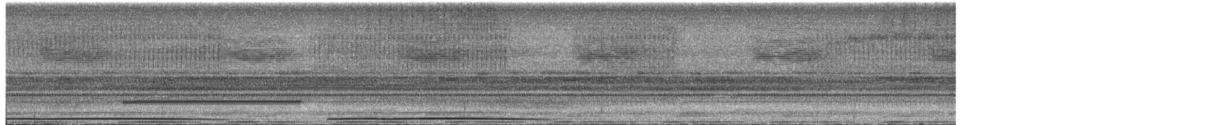 Marbled Frogmouth - ML650797506