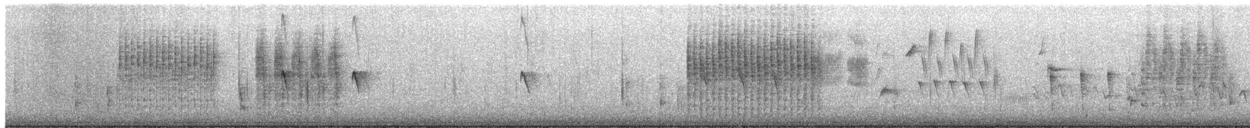 Marsh Wren - ML650798028