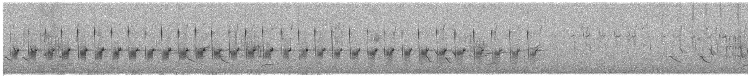 Black-chested Prinia - ML650799542