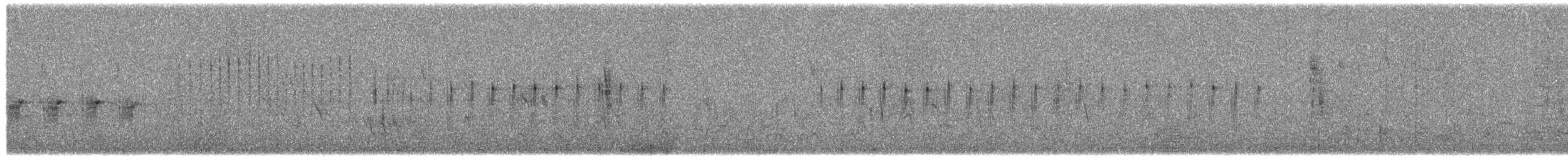 Black-chested Prinia - ML650800542