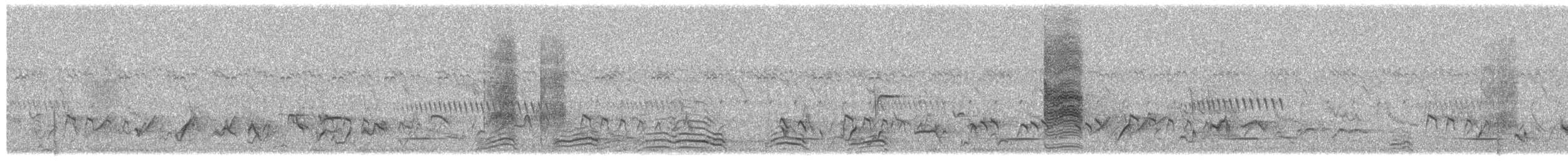 Magpie Shrike - ML650801849