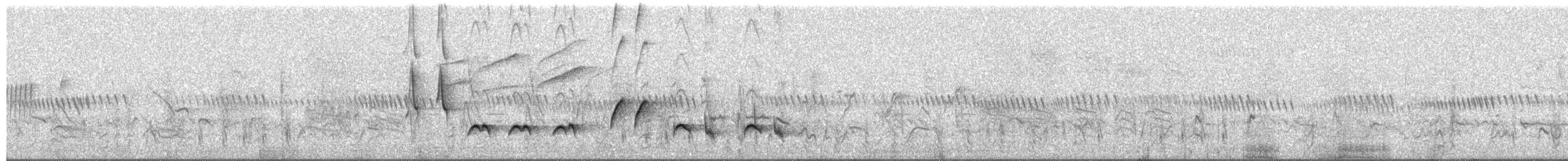 White-throated Robin-Chat - ML650802145