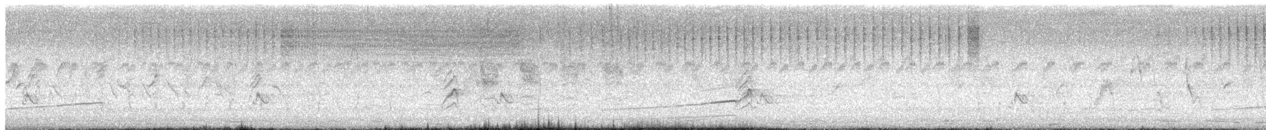 Codorniz de Tasmania - ML650804121