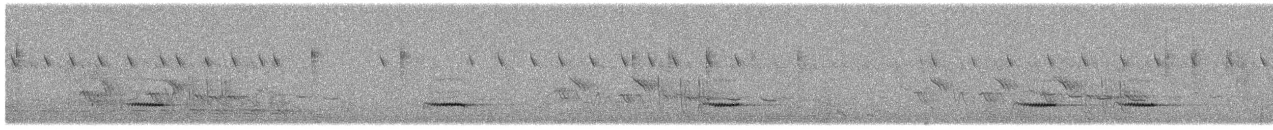 Barred Wren-Warbler - ML650806659