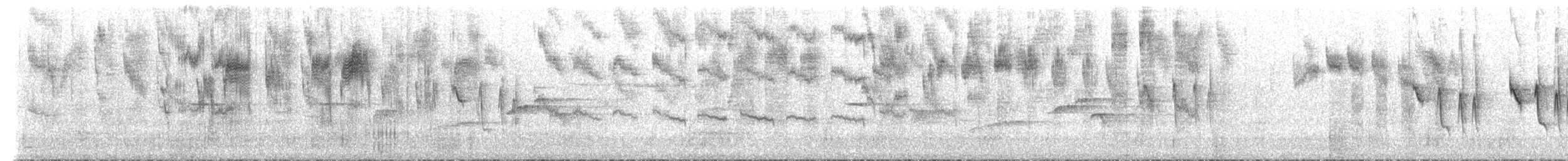 Sedosito Maculado - ML650808180