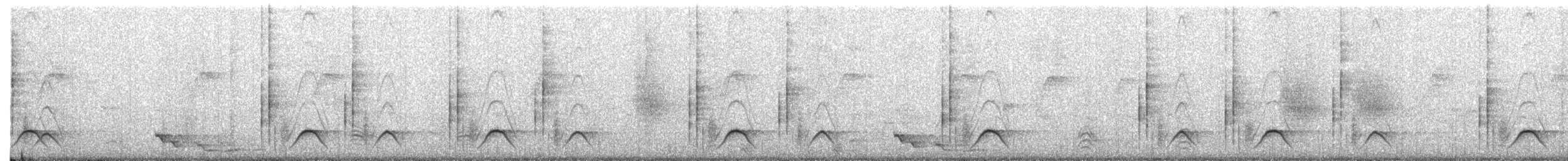 Кубла строката - ML650808825