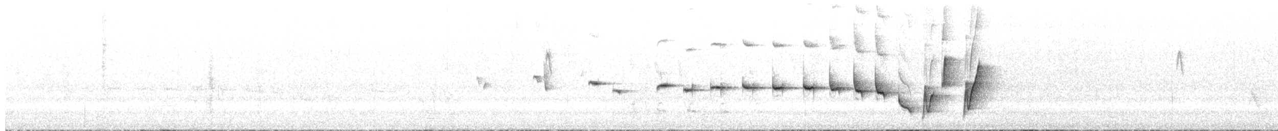 ノドジロクサムラドリ - ML650809637