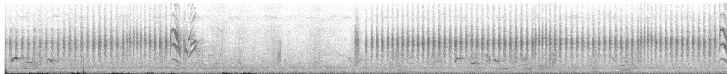 Dusky Indigobird - ML650811109