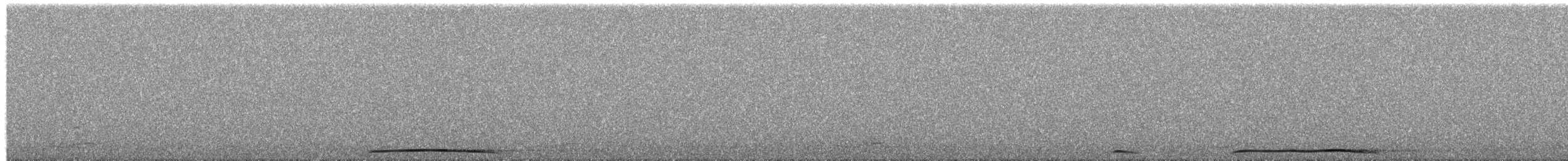 Little Owl - ML650816770