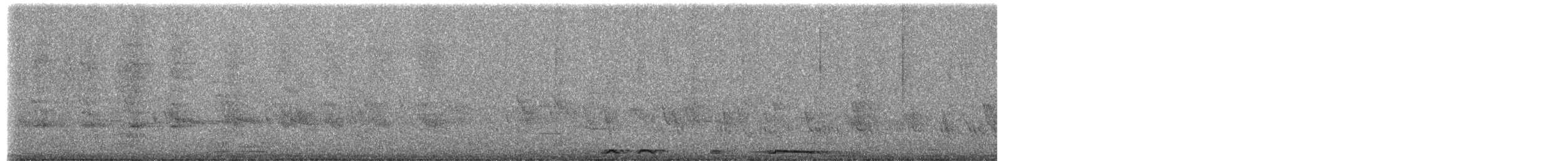 White-winged Dove - ML650819218