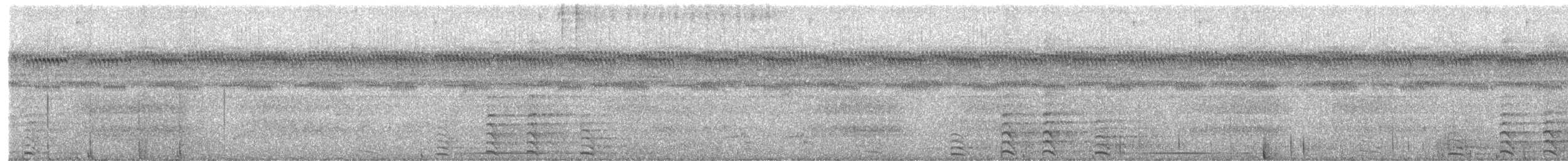 Lined Forest-Falcon - ML650820813